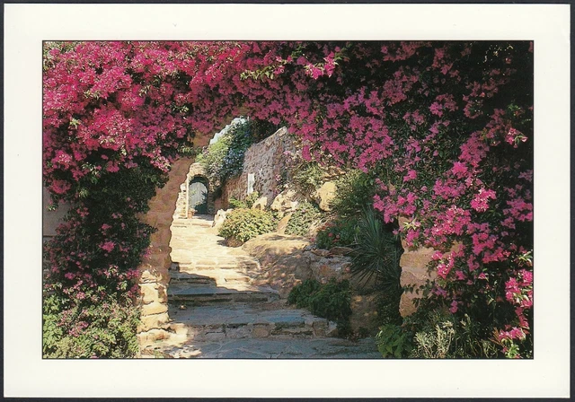 AB2849 Aperçu Pittoresque De Un Lieu De Identifier - Carte Postale - Postcard