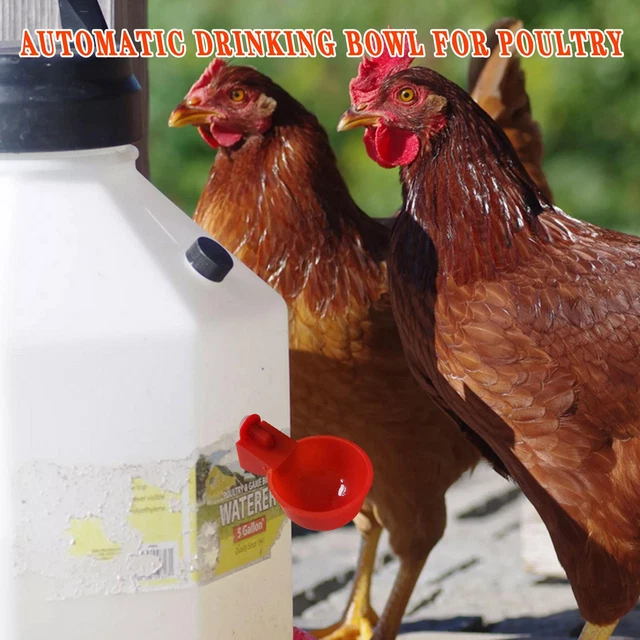 Dine A Chook Lubing Chicken Drinker-Cup-Poultry -Waterer-Nipple-Drinker Feeder 2