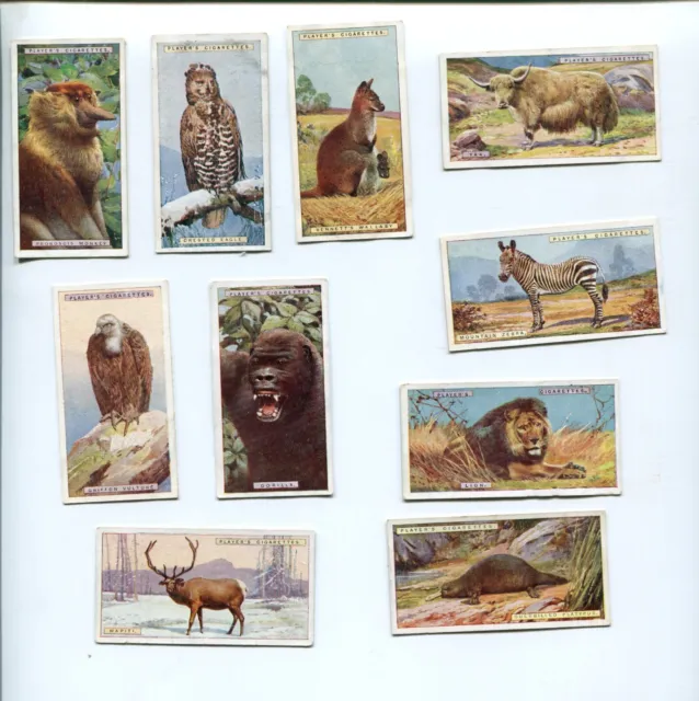 1924 John Player & Sons Cigarettes Natural History 10 Tobacco Card Lot