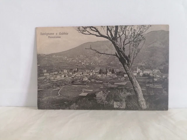 Cartolina Panoramica Di Savignone E Gabbie Ed. G. Martignone  Viaggiata Del 1923
