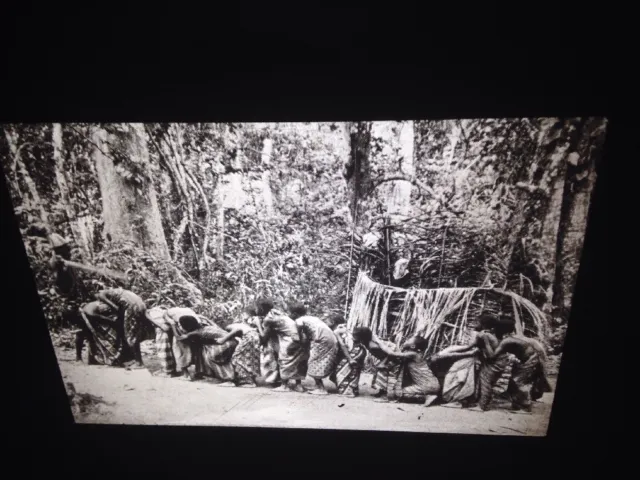 Dan Ivory Coast "Circumcision-Greeting The Zo" African Tribal Art 35mm Slide