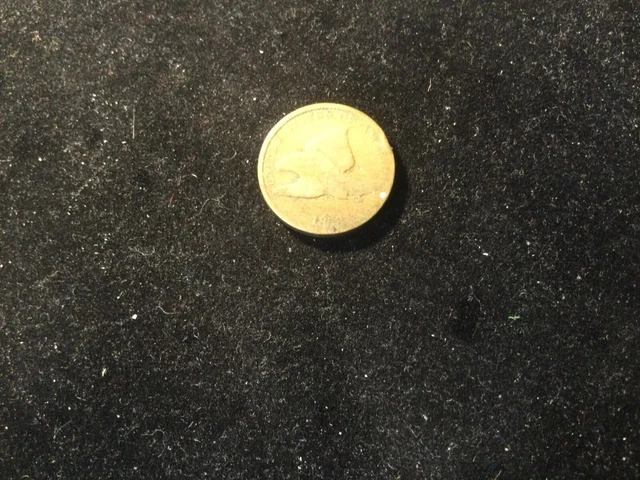 1858 Flying Eagle Cent One Penny 1C Ungraded US Coin No Reserve Fine  #D23