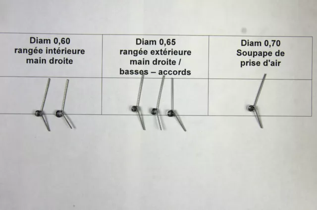 Ressorts d'accordéon Hohner 2915, Erica, Club, Corso, Pokerwork : 6pc spring set