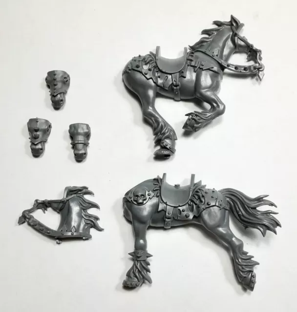 Marauder Horsemen Horse 3 - Warcry, Age Of Sigmar, Slaves To Darkness