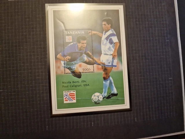 Tanzania 1994 Sg Ms1753 World Cup Football 2 Sheets Mnh