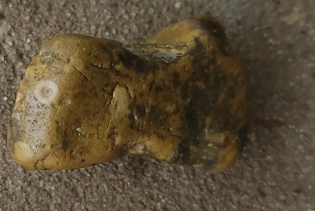 Native American effigy Stone Artifact pecking stone, rock art SE Louisiana Native American effigy Stone Artifact pecking stone, rock art SE Louisiana
