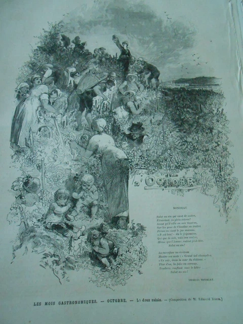 Gravure 1877 - Les mois gastronomiques Octobre Le doux raisin