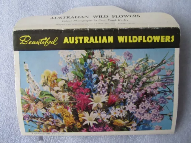 Vintage John Sands Foldout View Folder- Beautiful Australian Wildflowers Hurley