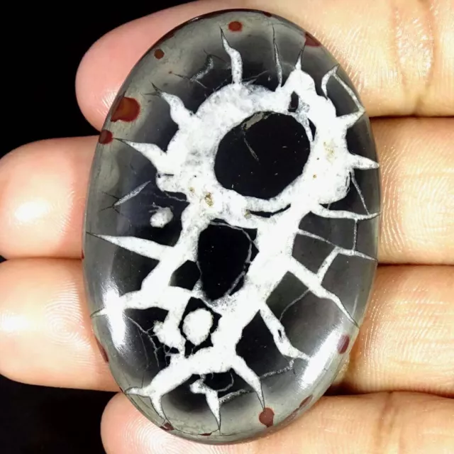 132.00Cts Natural Septarian Cabochon Oval Loose Gemstones