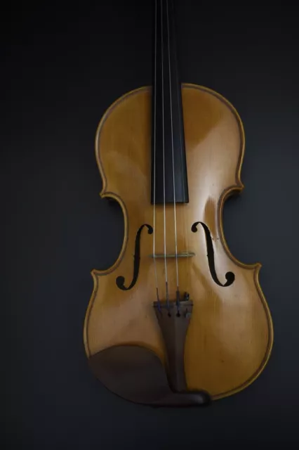 Fine 4/4 EASTMAN  Violin “Leonardo VECCHIO”- 2001- RARE