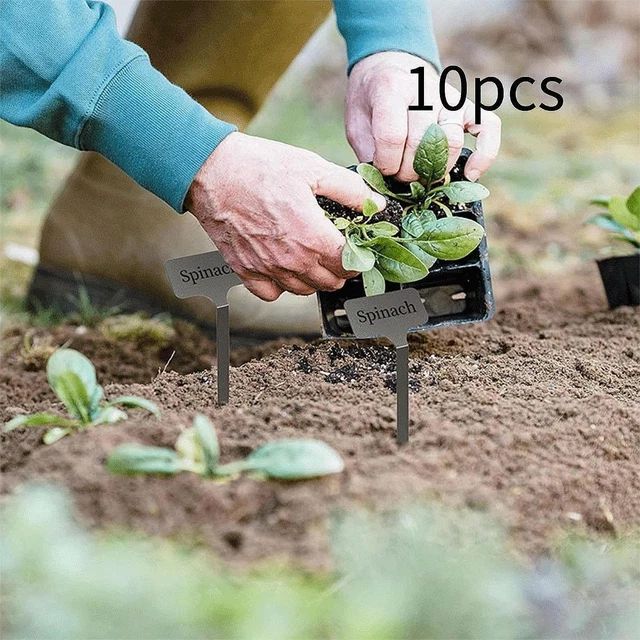 1000 Etichette Per Piante Da Giardino In Plastica PVC - 10 Pollici, Impermeabili, Con Penna Permanente, Multicolore - 2