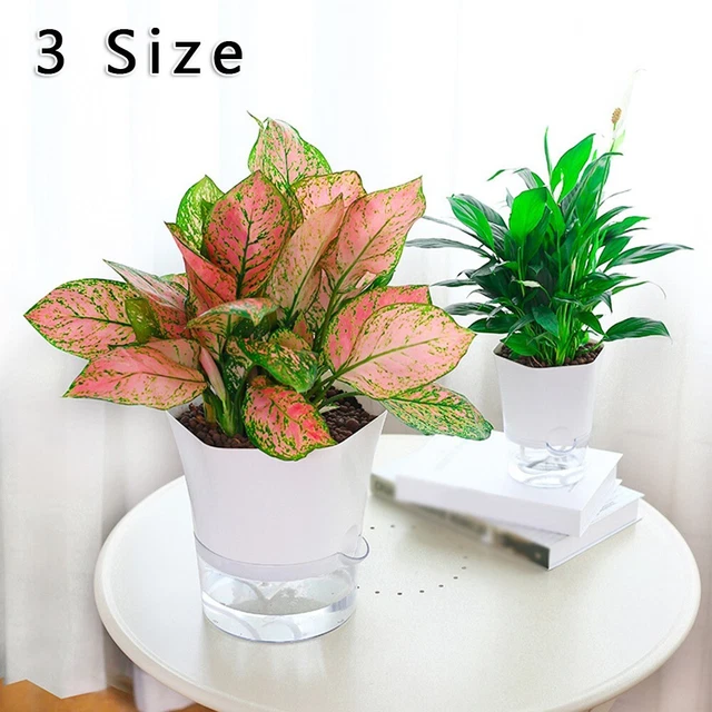 Transparent Auto-Arrosage Plante Fleur Plastique Pot-Planter Home / Garden-Decor
