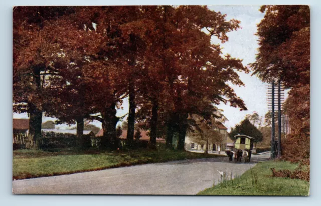 Postcard Sevenoaks - The Seven Oaks 1151 - Salmon