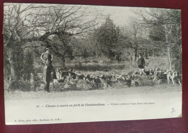 Cpa Carte Postale Chasse À Courre En Forêt Fontainebleau Chiens 1908