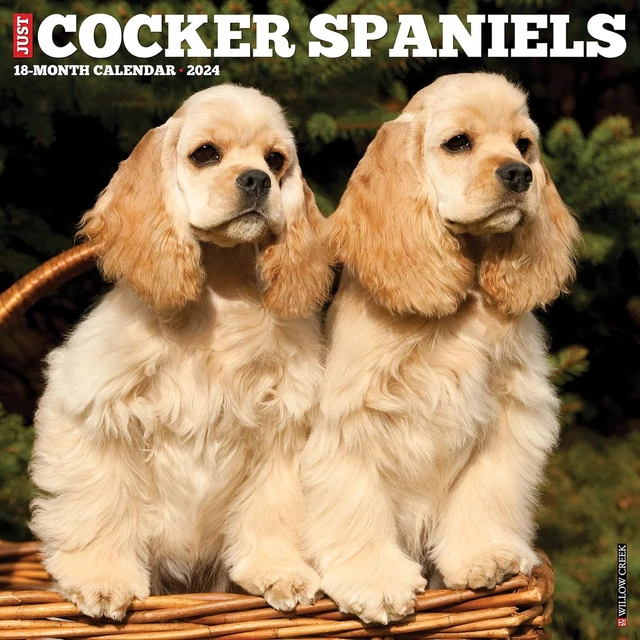 Solo Cocker Spaniel - 2024 Calendario da Parete - Nuovo - 33159