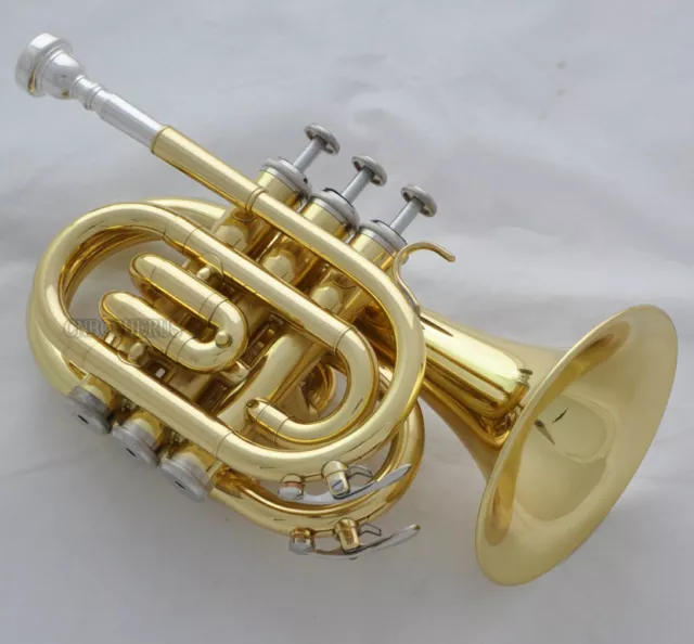 Top Quality Gold Pocket Trumpet B-flat Horn Large bell Brand New With Case