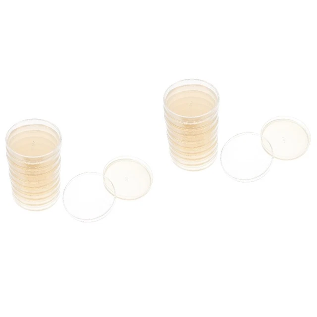 20 Pcs Laboratory Dish Nutrient Agar Plate Kids Tool Bag Round