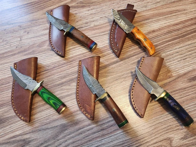 Hand Crafted Skinner Knife Damascus Ash Wood Brass Guard Lot of 5 Hiking