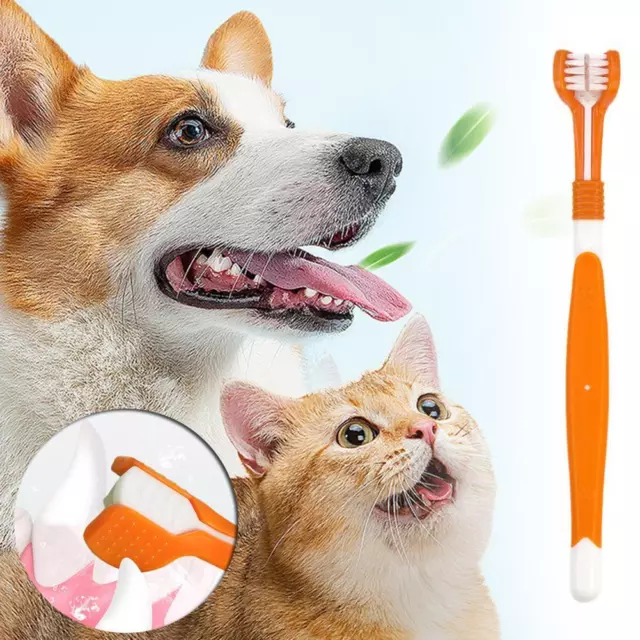 1 Pcs Pet Three-head Toothbrush V5O1