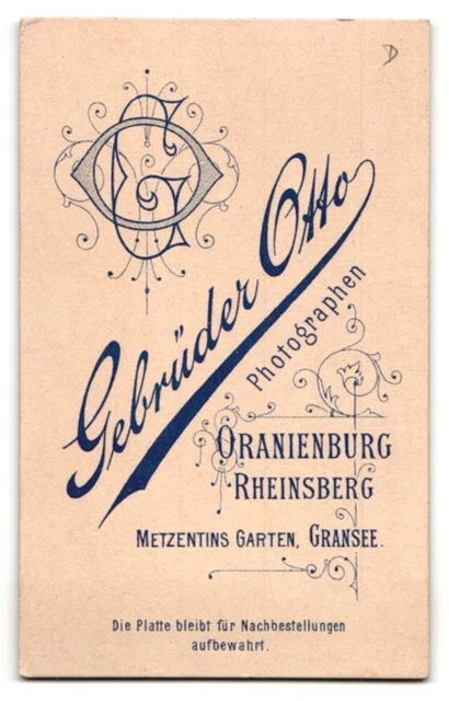 Fotografie Gebrüder Otto, Oranienburg, Portrait junger Herr in Anzug mit Fliege 2