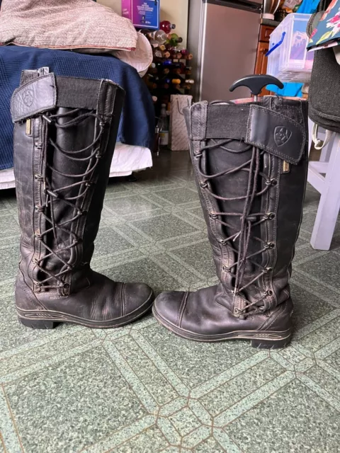 Ariat on sale grasmere sale