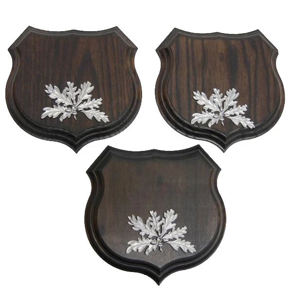3x Wappenschilder Jabalí Af 15cm Escudo de Trofeo Hoja de Roble Portada Plata
