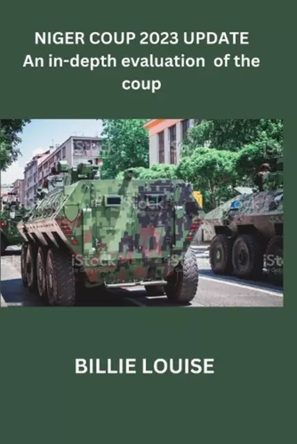 Niger Coup 2023 Update: An in-depth evaluation of the coup by Billie Louise Pape