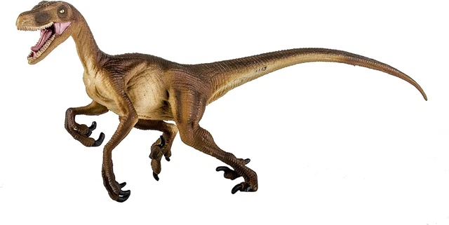 Velociraptor