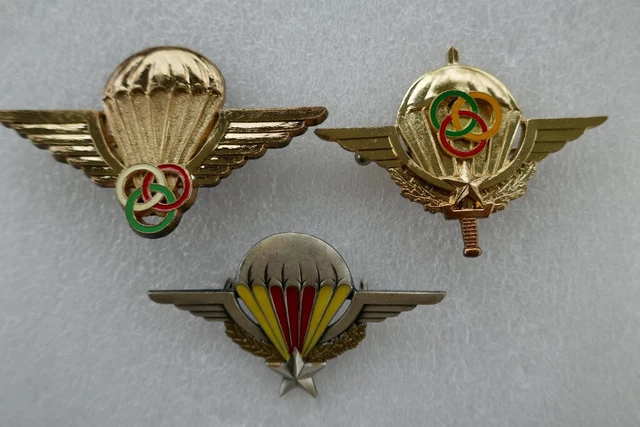 2 Insignes Parachutiste Français - Forces Spéciales - Occasion Bon état