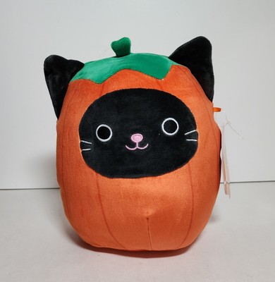 pumpkin cat squishmallow