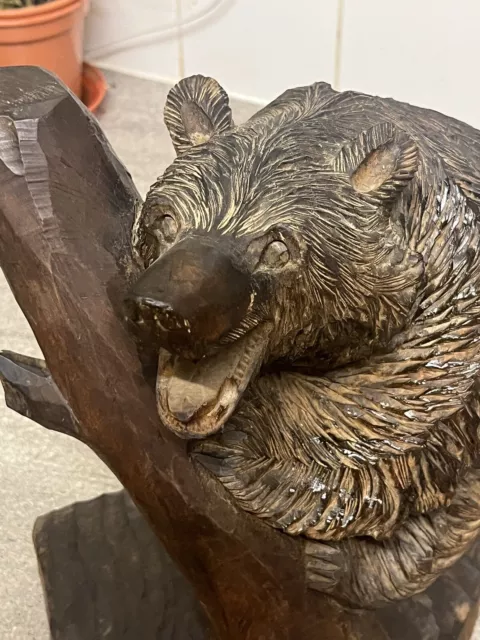 Fabulous antique carved wooden black forest BEAR Circa 1890 Linden Wood 🪵