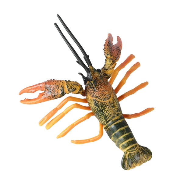 Simulation de homard modèle en plastique, crabe de... – Grandado