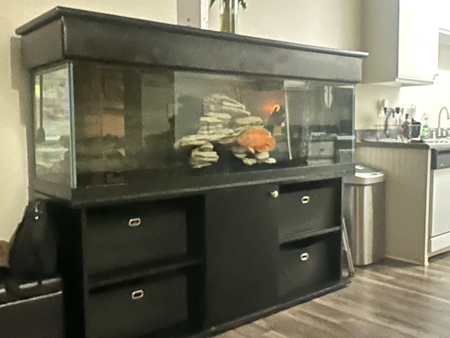 fish tank