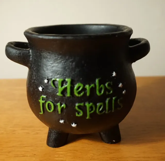 Gothic HERBS FOR SPELLS Witches Cauldron Witch Plant Herb Pot Planter NEW in BOX