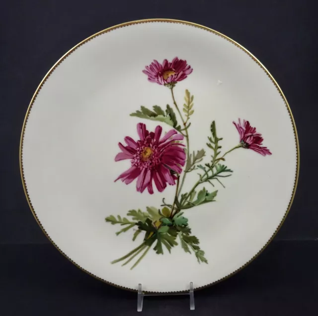 Antique Mintons Cabinet Plate, Chrysanthemums