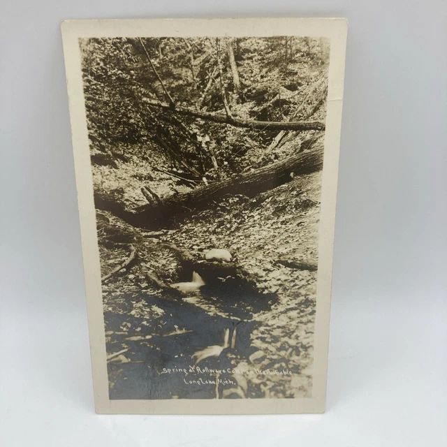 RPPC Postcard Spring At Rollaways Camp On The Au Sable, Long Lake Michigan