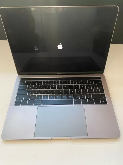 Apple MacBook Pro 13-Inch (256 GB, Intel Core i5, 1.2 GHz, 8GB) Laptop - Silver