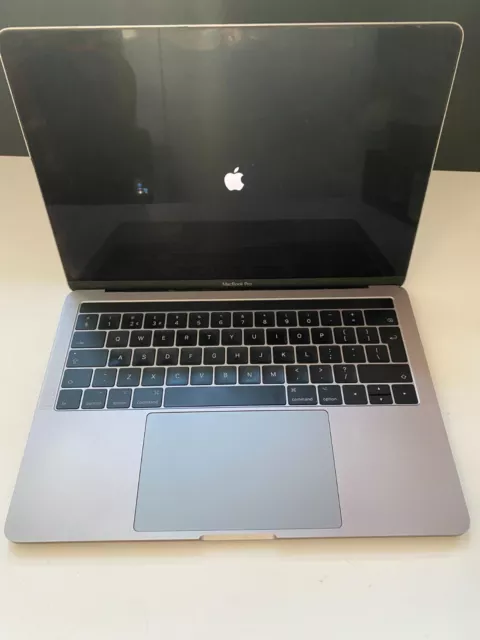 Apple MacBook Pro 13 pollici (256 GB, Intel Core i5, 1,2 GHz, 8 GB) computer portatile - argento