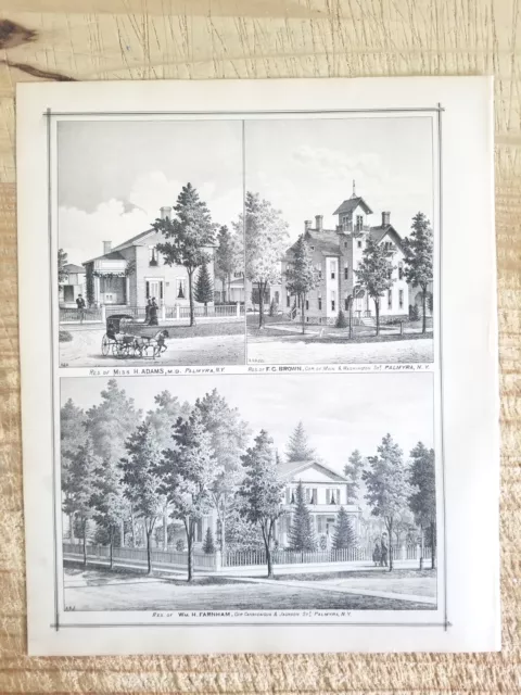 RES OF H ADAMS,FC BROWN & H FARNHAM,PALMYRA,NY.1887 13.7" x 11.5 ART PRINT*EP7