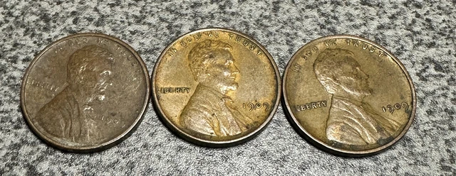 Lot Of 3 - 1909 Vdb V.d.b. Lincoln Cent Wheat Penny