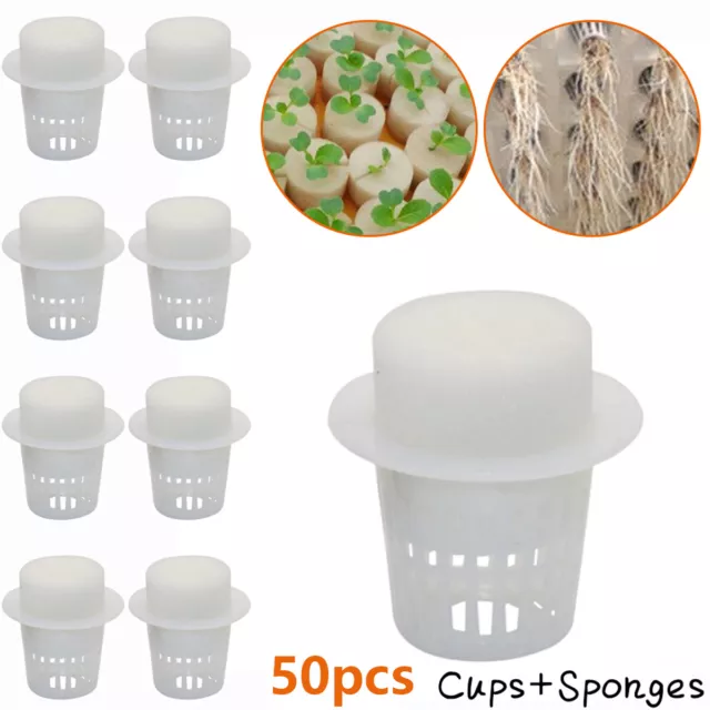 Mesh Pot Net Cup Basket Hydroponic Aeroponic Plant Grow Clone 50Pcs With Sponge