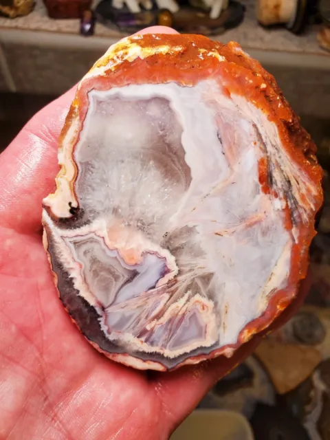 AAA +++ Moroccan Berber Sagenite Pseudomorph Banded Agate Rough 197g Lapidary