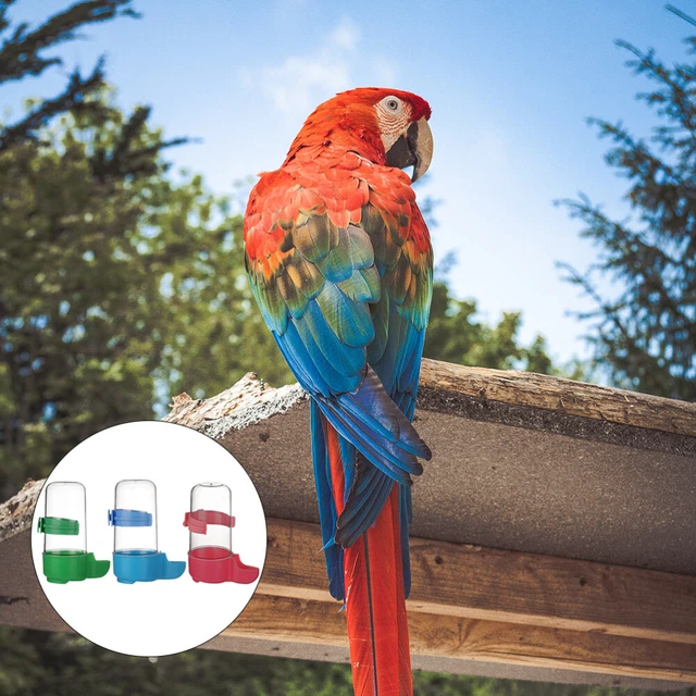3 piezas dispensador de agua para pájaros