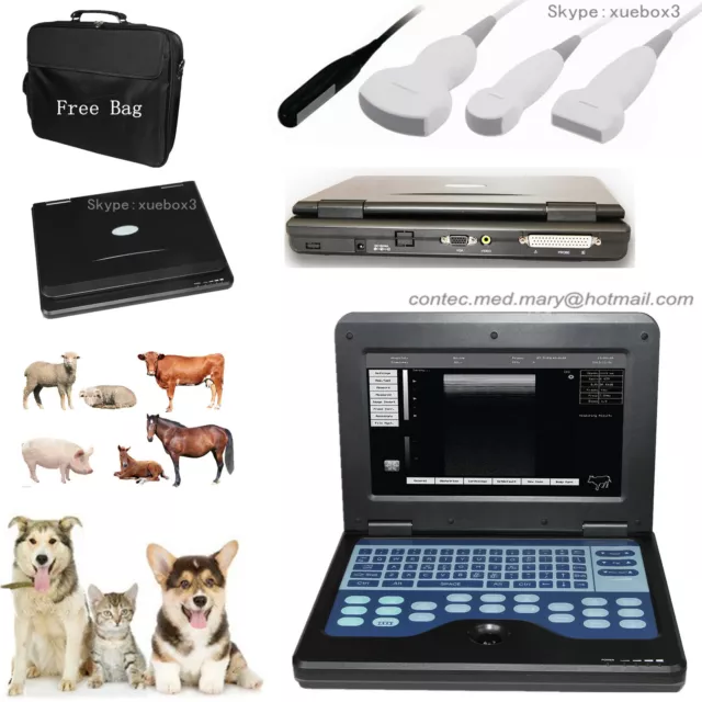 Veterinary Ultrasound Scanner Portable Laptop Machine  CMS600P2 Vet For Animal