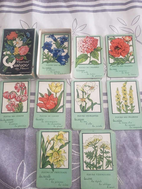 Kunstraube Kunstraub Quartett Célèbre Jeu De Cartes | Desertcart