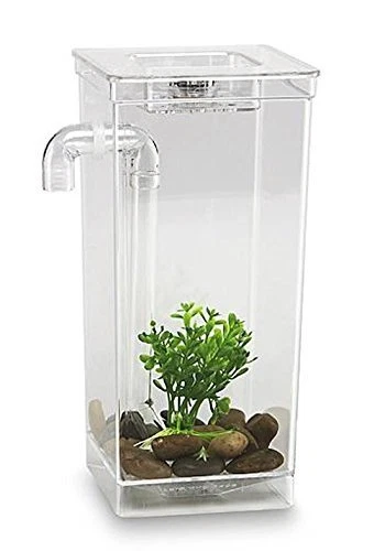 My Fun Fish Tank 10-Inch - Multicolor - Free Shipping