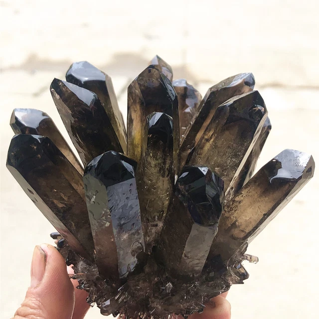 1.33lb New Find Black Phantom Quartz Crystal Cluster Mineral Specimen Healing 2