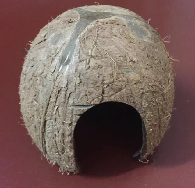 GAPS Coconut Hides - Reptile Hide/Shrimp Cave/Betta Cave/Fish Cave (Ten)