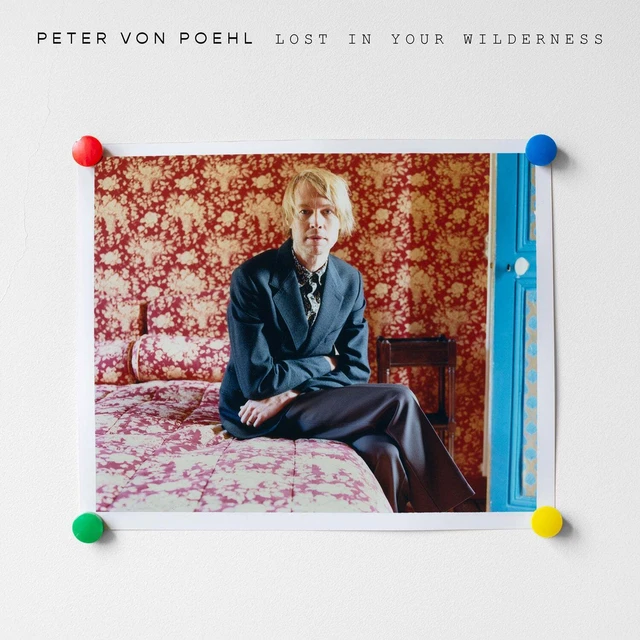 Peter Von Poehl - Lost In Your Wilderness / Bird NEW 7" Vinyl