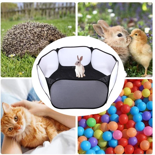 de compagnie Cage Tente Nid pour animaux de compagnie Clôture Hérisson Hamster